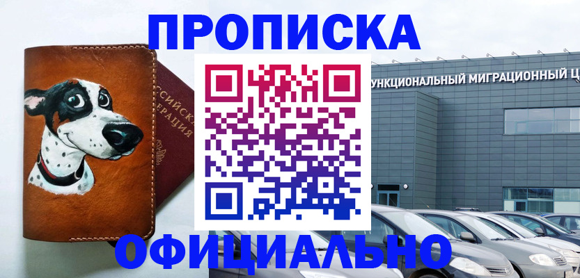 временная прописка в Арамили
